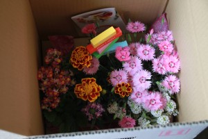 13120832_989620981115968_968837986_o