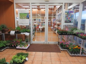 13120862_990217781056288_370666564_o