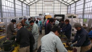 944004_1079672458762003_7770953047150830388_n