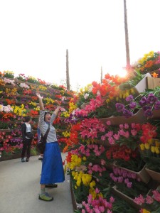 13090447_992327134178686_2141594383_n