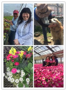 13103293_1157763527601589_7731553692051849000_n