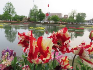 13112469_992326680845398_1848596314_o