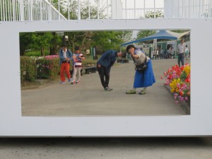 13112471_992327430845323_1566535140_o