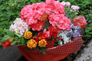 13112513_995381450539921_311319633_o