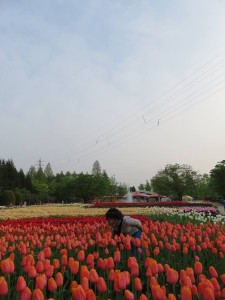 13115604_992327224178677_252197783_n