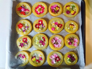 13124567_952404054876602_6996892873537198053_n