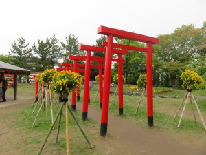 13147981_992326767512056_1263855685_o