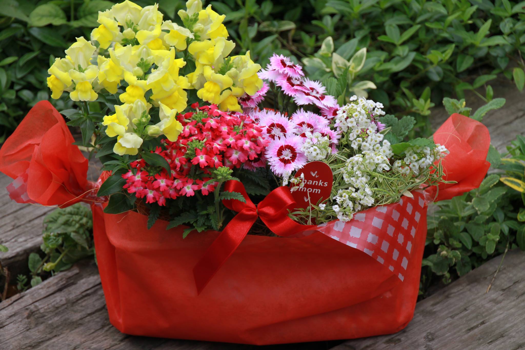 母の日に向けてGO-GO！！