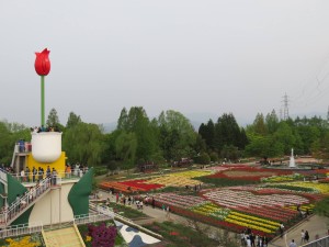 13161286_992327050845361_385914297_o