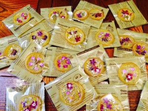 13174113_952403391543335_1942285157176106045_n