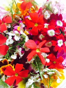 13177148_952403341543340_1430669489994537768_n