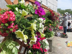 13177534_1000201640057902_7091691112436850188_n