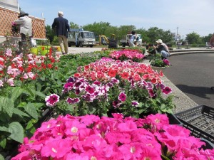 13178706_1000201666724566_8916962462781331391_n