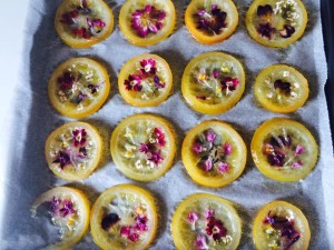 13179164_952403371543337_3903212534997100042_n