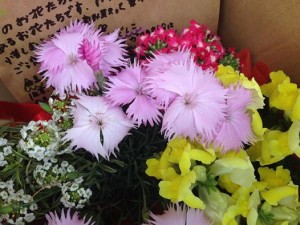 13179385_1376245749067742_4603955532032918672_n