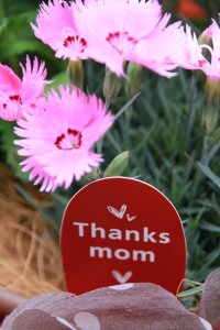 13183190_994697337274999_1133285246_n