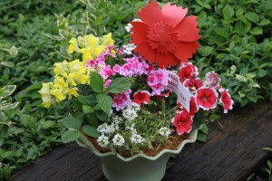 13199137_995381453873254_1322406635_o