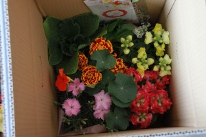 13199340_996205157124217_1158362802_o