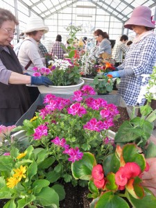 13221471_1005532582858141_2872647227647698001_n