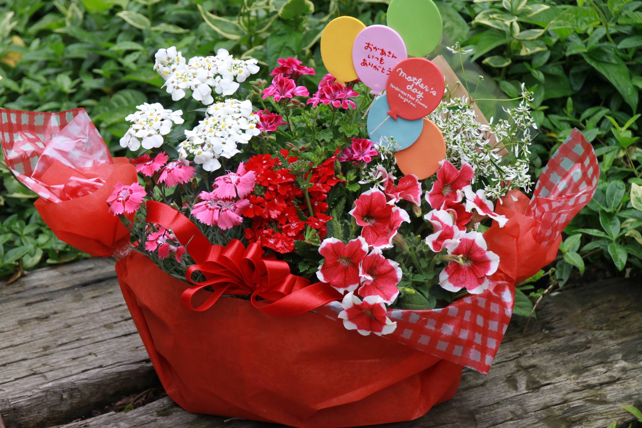 「母の日遅れちゃってごめんねフェア」