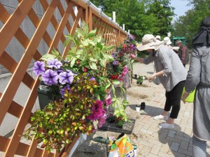 13227233_1000201593391240_6747042152397977299_n