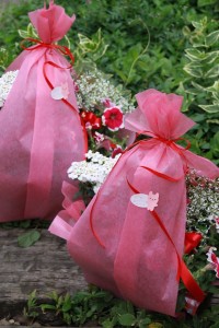 13228071_999727263438673_576154236_n