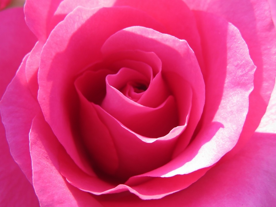 昨日も一日寄せ植え教室