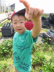 13238931_1003982346346498_8208061479395245527_n