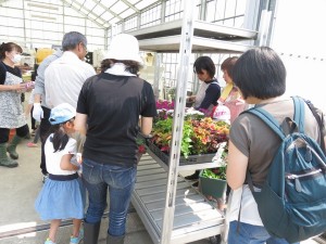 13241352_1003982299679836_5676295473061682639_n