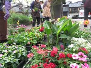 13241614_1003096129768453_461765391_o