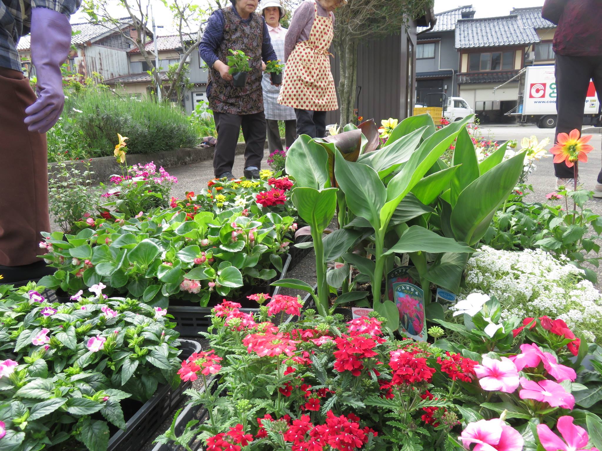 老人会サロンの寄せ植え教室も続々始まります！！