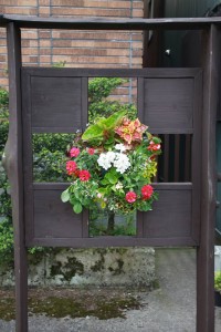 13249387_1005147836229949_14586271_n