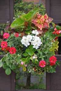 13250410_1005147839563282_2127835149_n