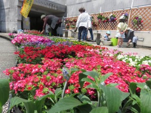 13254234_1000201700057896_6324916758071172585_n