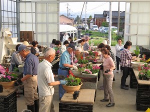 13254244_1005532526191480_7675179153557452041_n