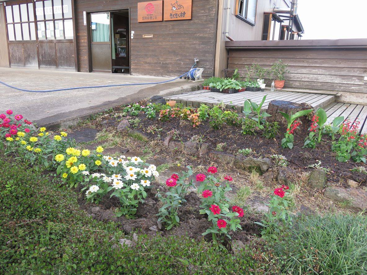 会社前の花壇の植え込み