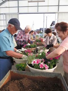 13266065_1005532556191477_5894252517844772966_n