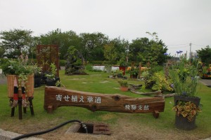 13271470_1009740485770684_992247016_o