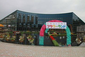 13282459_1009740559104010_55772961_o