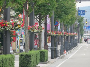 13282541_1009742095770523_1218137558_o