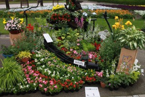 13287901_1009740495770683_2078259027_o