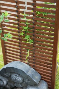 13288811_1009740449104021_1425960291_n