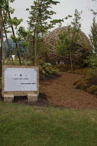 13288842_1009740172437382_401881855_n