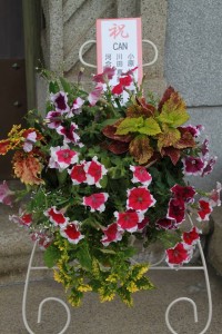 13289000_1005147842896615_807872804_n