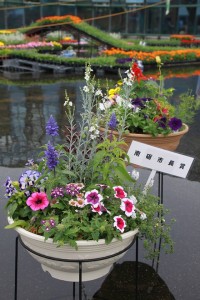 13292864_1009738835770849_2094114545_n