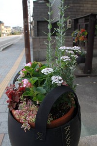 13293233_1005147826229950_317637155_n