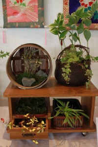 13295298_1009740632437336_2031628628_n