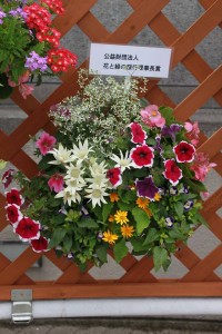 13296040_1009738949104171_2056341959_n