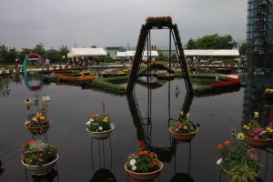 13313732_1009738832437516_1873696163_o