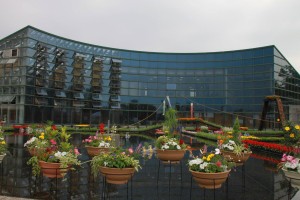 13313903_1009740552437344_1436820357_o